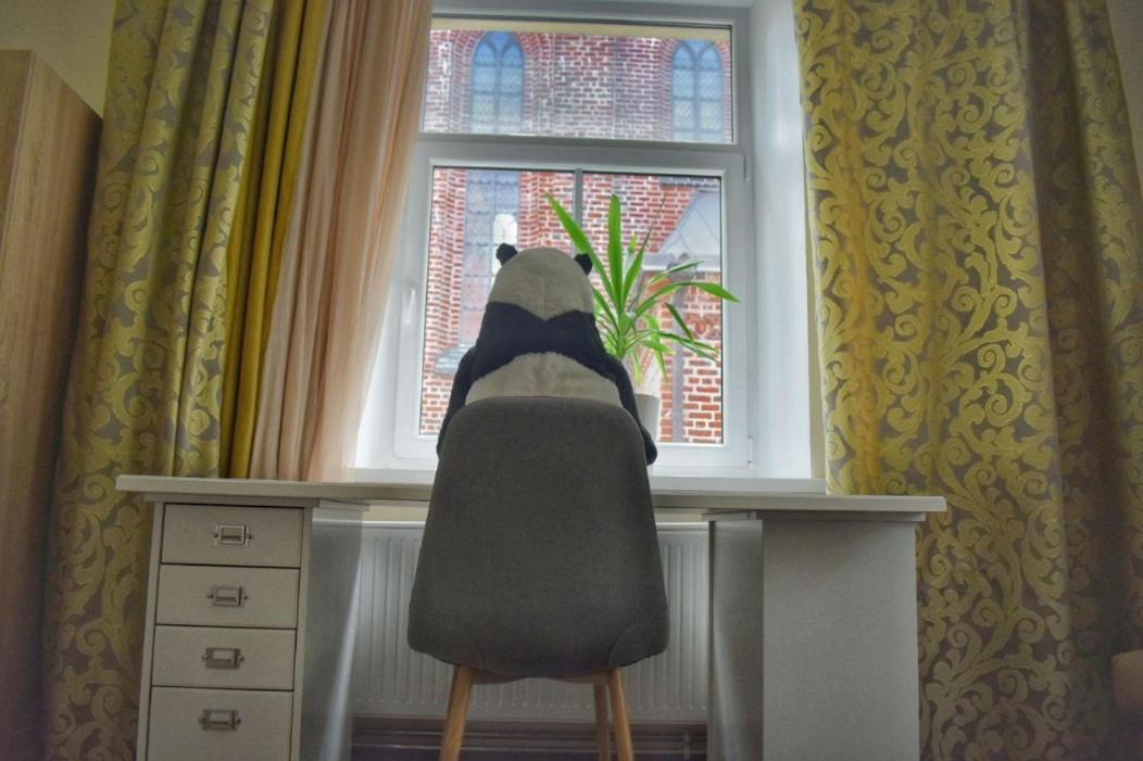 Appartamento Panda House - Luxury In Old Town Tartu Esterno foto